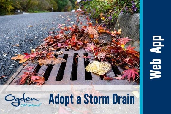 Adopt a Storm Drain