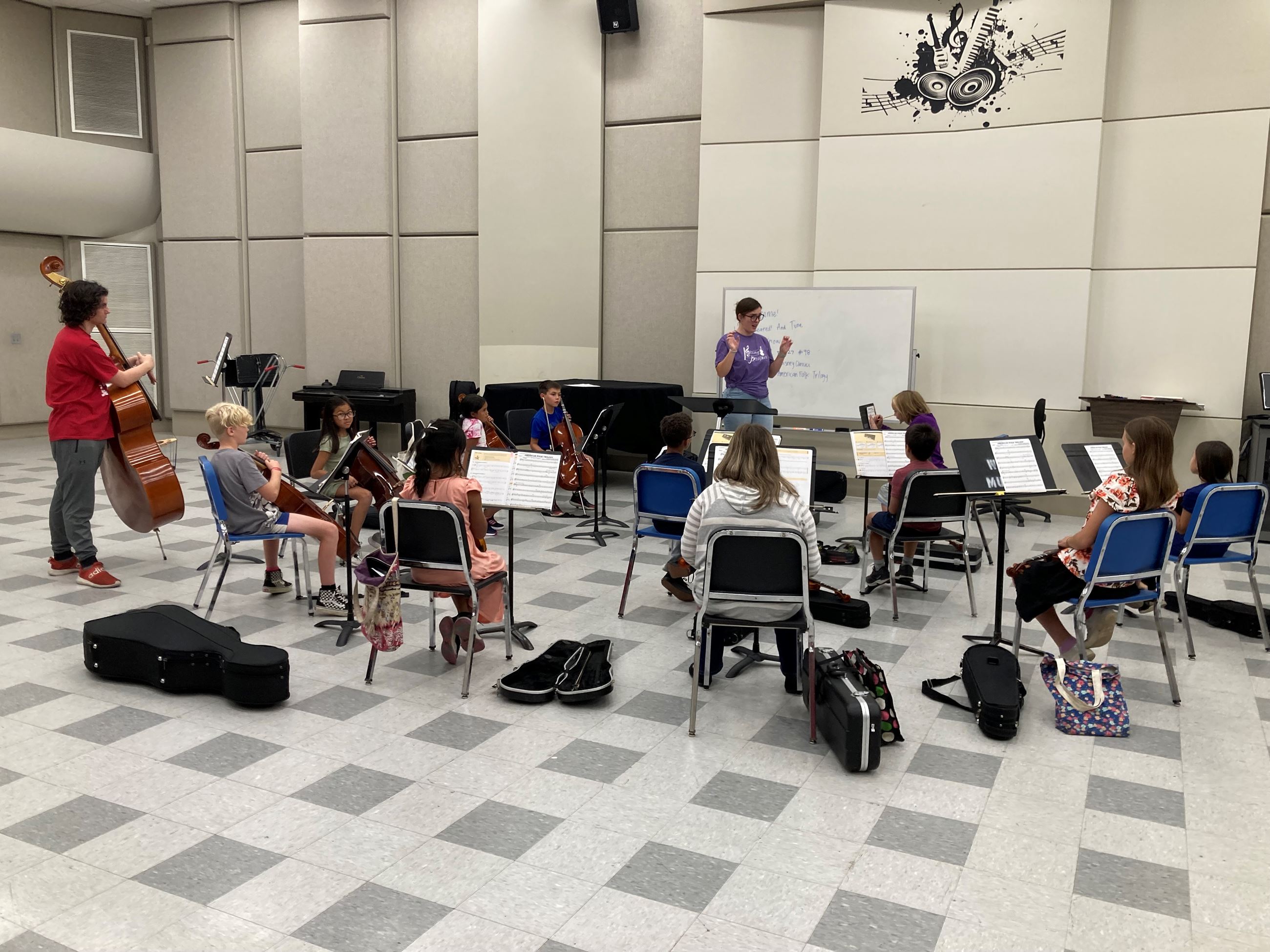 WSU String Project Image 2