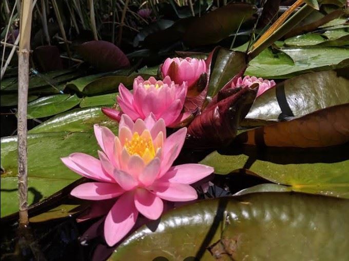 Screenshot 2025-12-15 141517