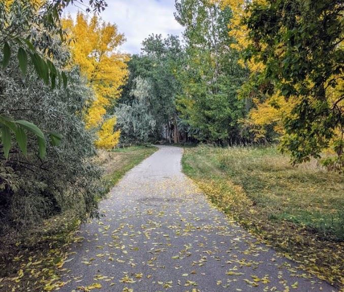 Screenshot 2025-12-15 142047