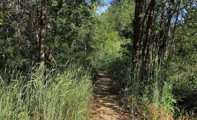 Screenshot 2025-12-19 080545